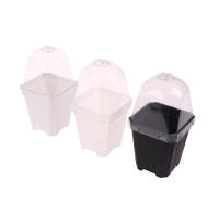 Juego De 5 Macetas Cuadradas Pequeñas Con Domos De Humedad Transparentes Para Plantas En Iniciación Moderno Estilo Plástico - details 6
