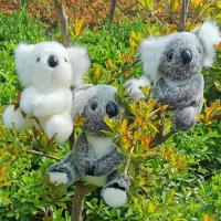Muñeco De Peluche Pequeño Koala Simulación Juguete De Peluche Wombat Para Niños Y Adultos Regalo De Cumpleaños - details 2