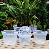 2 Jugos de macetas Metas de Orquídeas ranuradas Contenedores de Vivero Metas de plástico para Orquídeas Contenedores de Orquídeas interiores transpirables - details 3