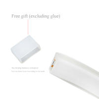 Tira De Leds Neón 5M Para Exteriores Impermeable 12V Luz De Decoración De Navidad Para Sala De Estar Cocina Jardín Patio - details 6