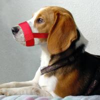 Mordaza Para Perros Pequeños De Nylon Suave Con Correa Ajustable Anti-mordedura Transpirable Para Mascotas De Tamaño S M L XL - details 5