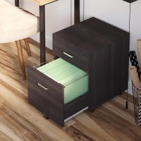 Vinsetto Archivador Móvil para Archivos A4 con Ruedas Gabinete de Archivos Suspendidos con 2 Cajones y Cerradura 40x45x55,6 cm - details 1