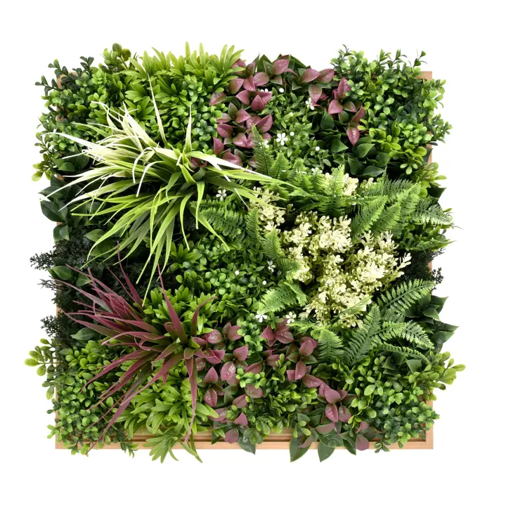 BONERVA MAL1220 MALDIVAS Jardín Vertical Artificial Pieza 50x50 cm Marco - 1