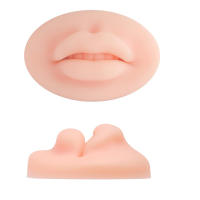 Labios De Tatuaje 3D Practica Con Silicona Suave Realista Para Maquillaje Permanente Y Microblading Kit De Entrenamiento De Labios Falsos - details 7