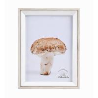 Portafotos Decorativo | Ideal para Regalo o Decorar tu Espacio REF391 - details 1