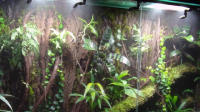 Accesorios De Rociador Para Acuario Sprinkler De Selva Tropical Repartidor De Agua Metálico De Latón Para Tanque De Acuario - details 8