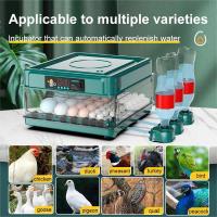 Incubadora Automática de Huevos - Control de Temperatura y Humedad - details 4