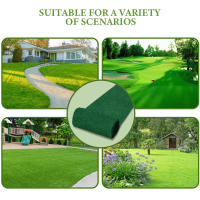 Mata De Semillas De Grama Biodegradable Roll Para Prevenir El Viento Y Consolidar La Tierra Adecuado Para Plantas De Verduras Frutas Y Flores - details 6