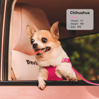 Juego De Arnés Y Correa Para Perros Y Gatos Pequeños Y Medianos De Cuero PU Suave Arnés De Chaleco Con Correa Para Perra Chihuahua - details 7