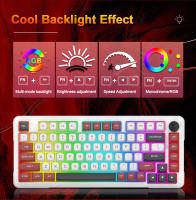 Teclado Mecánico De Juego E-YOOSO Z82 USB RGB 78% Con Cable Desmontable 82 Teclas Layout Gamer Para PC Portátil Computadora - details 5