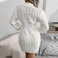 Vestido De Coctel Para Mujer Estilo Casual De Otoño/invierno Cuello Redondo Cintura Alta Abrigo Suéter De Alta Calidad Y Cómodo Vestido Manga Batwing De Polyester Silken Cintura Natural - details 10