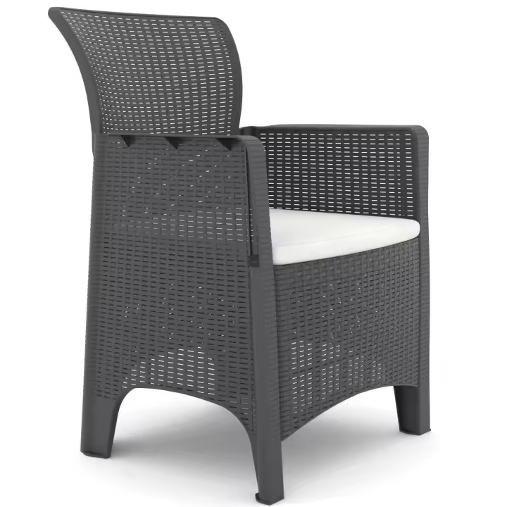Sillón ILEÓN, polipropileno antracita, cojín beige - 1