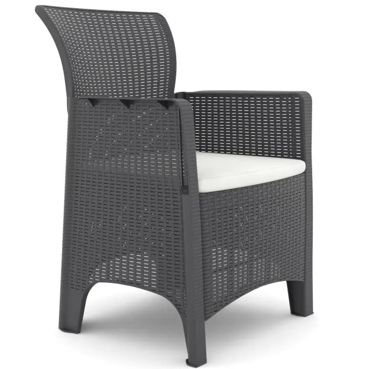 Sillón ILEÓN, polipropileno antracita, cojín beige - 1