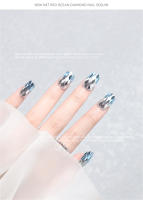 Parches De Uñas Con Patrón De Diamantes Bloque Material Plástico Decoraciones Para Enhanceamiento De Uñas Y Sequinias - details 16