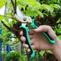 Tijeras De Podar Multifuncionales De Acero Inoxidable Para Jardín Árbores Frutales Flores Corte Fino De Ramas Venta Al Por Menor - details 19