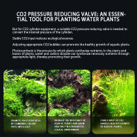 Válvula Reductora De Presión CO2 Para Acuario Con Doble Medidor Control De Presión Para Cilindro Válvula Solenoid Regulador De CO2 - details 1