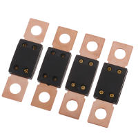 Fusible ANL LITTEL Para Coche Mega Bolt-on Fusible De Hoja 40A 50A 60A 80A 100A 125A 175A 150A 200A 250A 300A 400A - details 5