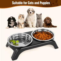 Juego De Tazas Para Gatos Elevadas Acero Inoxidable Con Soporte Antideslizante ABS Alimento Agua Para Gatos Internos Cuadradas - details 0