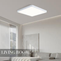 Luz De Techo LED Ultrafina 2.4CM 18W 24W 36W 48W AC85-265V Para Decoración Interior De Hogar Habitación Dormitorio Sala De Estar Cocina Control Remoto Infinitamente Dimmable - details 14
