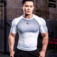Camiseta De Compresión Berserk Para Hombre Fitness Verano Secado Rápido Gimnasio Impresión Sacrificio Deportiva T-Shirt Elástica Respirable - details 3