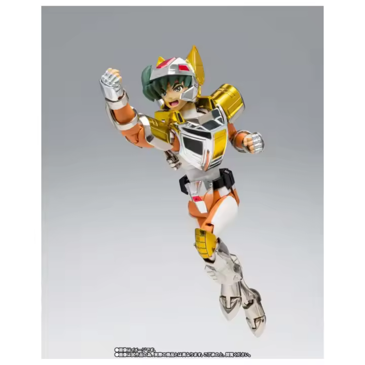 BANDAI STEEL SAINT LANDCLOTH DAICHI REVIVAL - 1