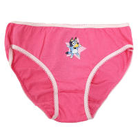 Pack 3 Braguitas de Niña Bluey, Ropa Interior Niñas de 2 a 6 años Bluey y Bingo, Braguitas Infantiles 100% Algodón, Regalo Cumpleaños, Navidad, Reyes - details 1