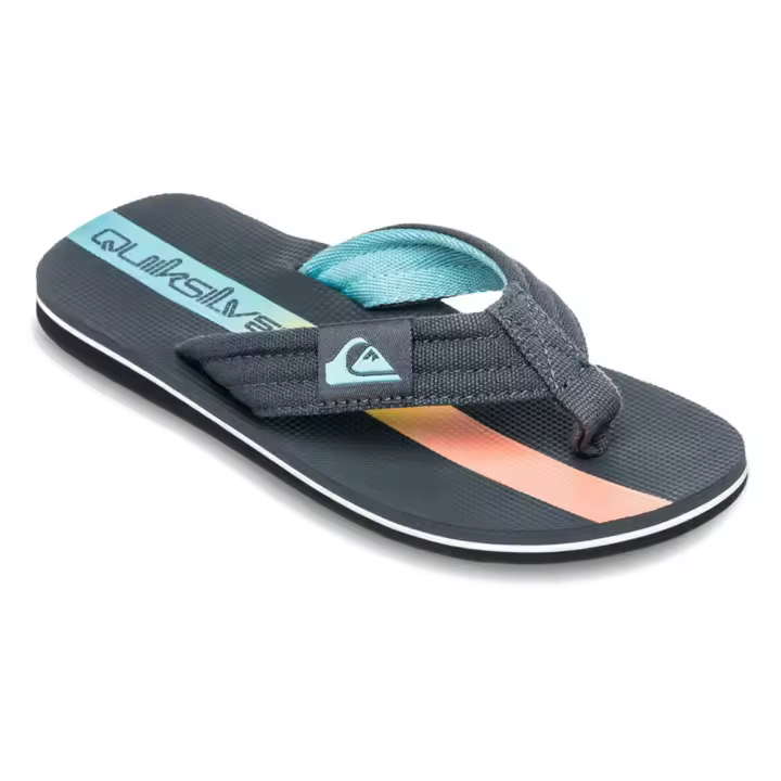 Quiksilver Chanclas Molokai Layback Ii Gris Unisex - 1
