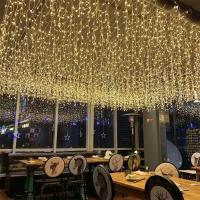 Curtain Lights LED Faeiry 4x0.6m Para Decoración De Jardín Y Patio Luz De Calle Exterior Para Fiesta De Navidad Instalación Sencilla - details 7