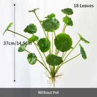 Plantas Artificiales De Loto Y Eucalipto 37cm Con 18 Cabezas Hojas De Cobre Para Decoración De Oficina Y Hogar Plástico Realista - details 4