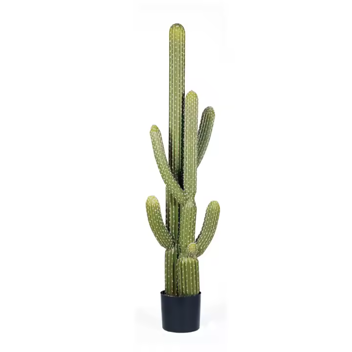 Nortene | Planta Artificial Cactus Saguaro 145 Cm Nortene | Ideal Para Decoración | Planta Artificial Grande Y Realista | Aporta Un Toque Natural A Tu Hogar - 1