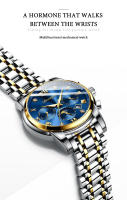 Reloj Mecánico De Lujo Para Hombre Dianpai Autómatas Completo Con Función De Noche Y Multiusos Resistente Al Agua Acero Inoxidable - details 1