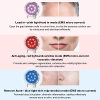 Masajeador De Rostro RF Rejuvenecimiento De La Piel LED Facial Levantamiento Belleza Vibración Eliminación De Arrugas Cuidado Del Piel - details 2