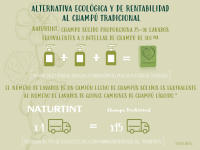 Naturtint Fortaleza 2 en 1, Champú Sólido + Acondicionador, Fortalece, Regenera y Protege, Para Cabello Débil o con Problema de Caída, 99% Ingredientes Naturales, ECOCERT, 75gr - details 2