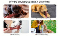 Juguetes Para Morder Para Perros Indestructibles Durable En Forma De Hueso De Goma Natural Para Limpieza De Dientes Para Mordedores Agresivos - details 5