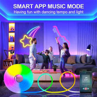 Tira De Lámparas LED Neón Bluetooth RGB 32.8F/10M DC12V Impermeable Para Decoración De Casa Y Exterior Con Varias Colores - details 6