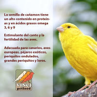 Vinci, Cañamon para Canarios, Semilla Rica en Aceites y Vitamina E y Estimula el Canto a los Canarios - details 0