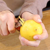 Zestador De Naranja Y Limón De Acero Inoxidable LMETJMA Con Cuchillo Y Bucle Para Colgar Eco-amigable Y Con Agarre KC0127 - details 4