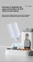 Dispensador De Alimentos Y Agua Para Gatos 2 En 1 Automático Con Medidor De Alimentos Y Agua Capacidad De 100g Material Plástico - details 5