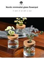 Vaso De Cristal Transparente Para Decoración Del Hogar Vaso Hidroponía Creativo Adorno De Escritorio Arrangement De Flores - details 0