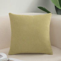 Cushion sofa cushion color cushion living room modern simple cushion cover (Without Core) - details 2