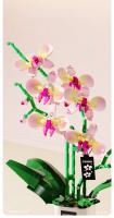 Bloques De Construcción Creativos Con Orquídeas Y Estrellas Azules Juguetes De Artesanía Para Niñas Edad Recomendada 6-12 Años Material ABS Sin Batería Producido En China - details 6