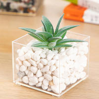Jarrón De Plástico Transparente Y Minimalista Moderno En Forma De Cuadrado Para Decoración Del Hogar Y Estudio Contenedor De Plantas Hidroponicas - details 7