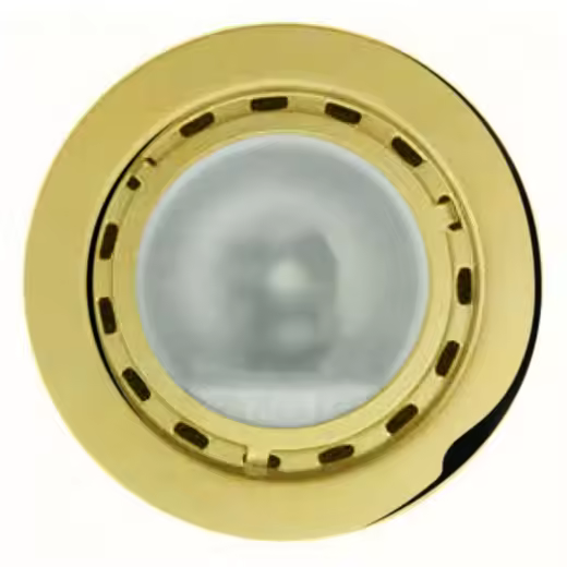 Foco Empotrable LED Astra Oro 10 LED 1W Luz Blanca 6000K - 1