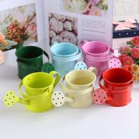 1PC Vaso De Riego De Metal Para Jardín Y Flores Pequeño Con Gran Capacidad Para Niños Y Adultos Para Rociar Plantas - details 0