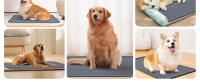 Nobleza 2 Piezas Lavable Almohadillas de Entrenamiento para Perros, Empapadores para Perros, Entrenamiento Almohadilla para Mascota Gris - details 6