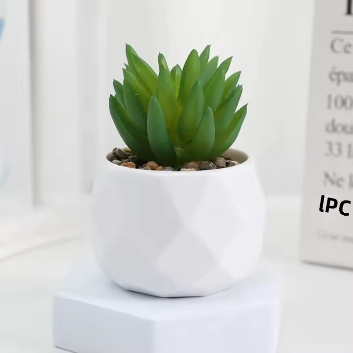 Plantas De Suculentas Artificiales Mini Bonsai Evergreen Cactus Simulación Decoración Para Interiores Plástico Inalámbrico - 1
