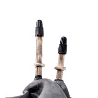 Tapa De Válvula Presta Negra Para Bicicleta Cubiertas De Polvo Para Neumáticos De Bicicleta MTB Mountain/Road Bike - details 3