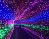 Luces De Fairy LED 1.5M-100M Cadena Impermeable Para Exterior Guirnalda De Navidad Decoración De Fiesta De Boda USB/Batería/220V - details 11