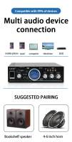 Amplificador De Sonido HiFi 200W + 200W Con Entrada Dual Para Microfono Para Karaoke Y Reproductor De Música Para Hogar Y Coche 220V/12V - details 6