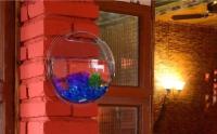 Acuario De Pared Para Peces Tangkoko De Acrílico Colgante Montado En La Pared Tanque De Acuario Para Mascotas Acuáticas 2L - details 8